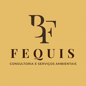 Fequis Consultoria e Servicos